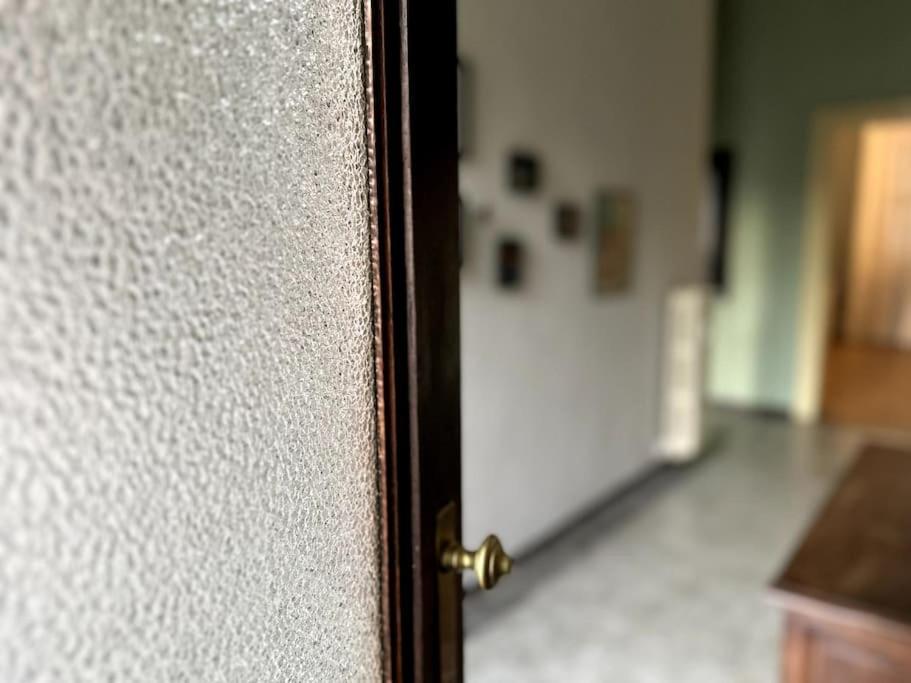 Apartment Spacious And Stylish In The City Center Turin